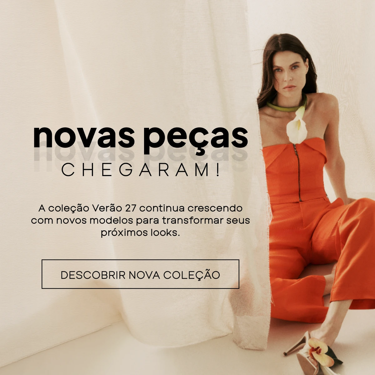 NOVIDADES